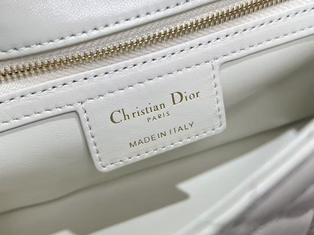 The Soft Caro handbag is a new addition to the Fall 2025 ready-to-wear collection.