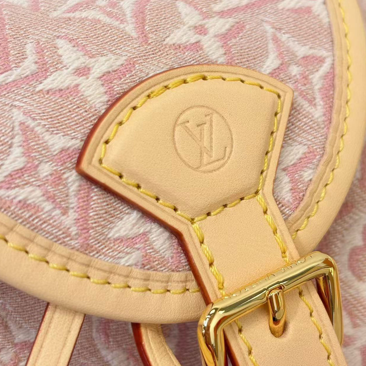 LV Light Pink Gradient Monogram Mini Drawstring Bucket Bag
