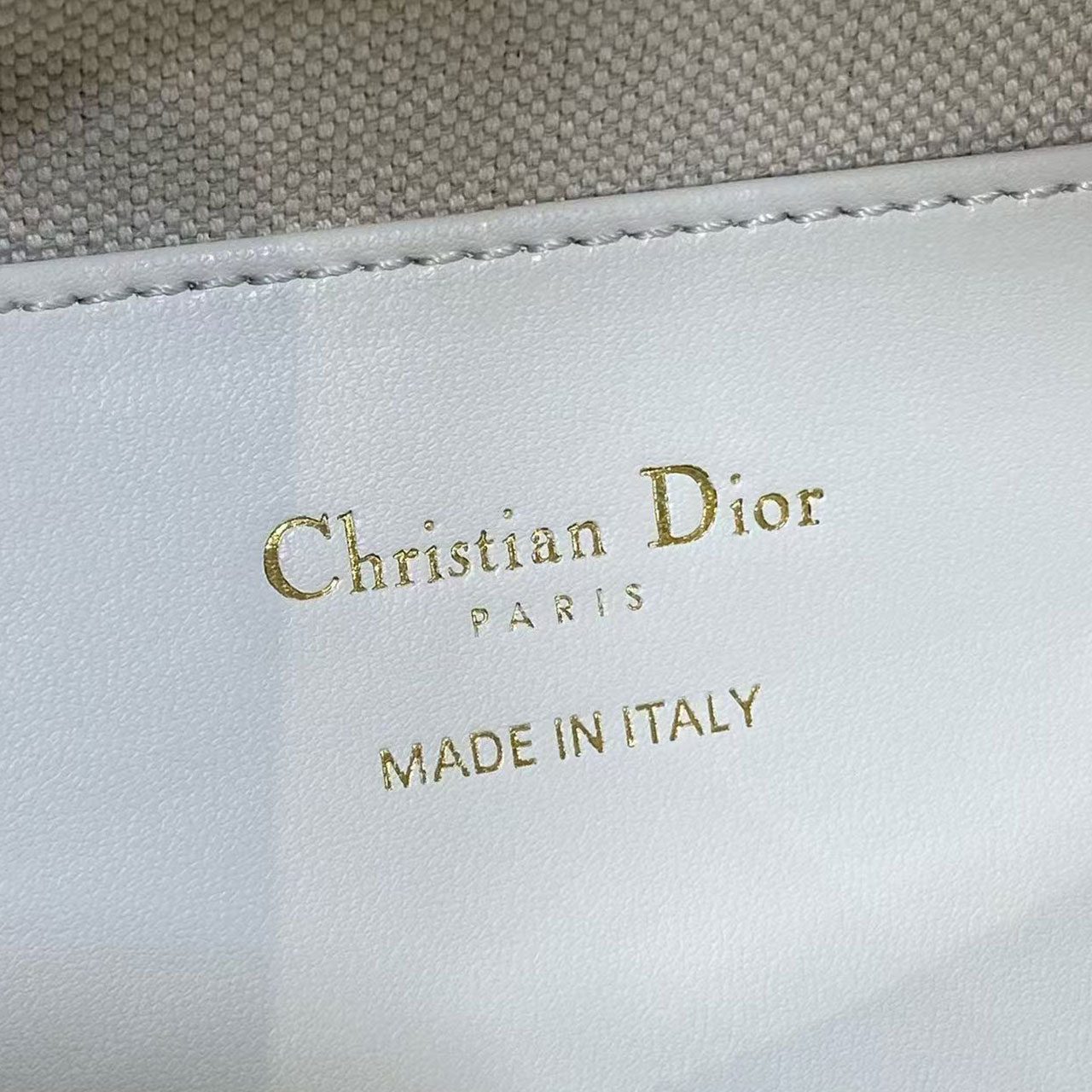 Dior Mini Hobo Bag