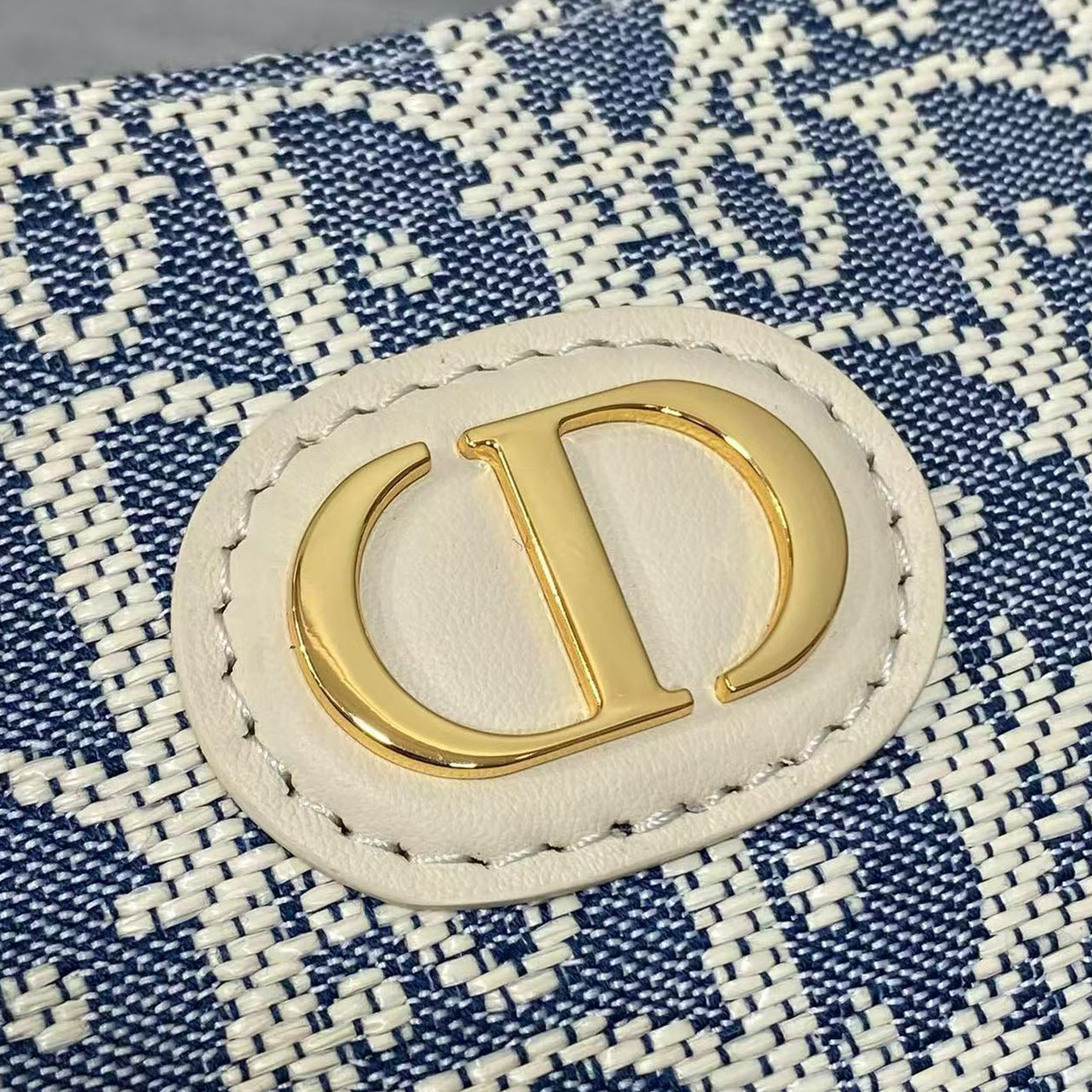 Dior Mini Hobo Bag