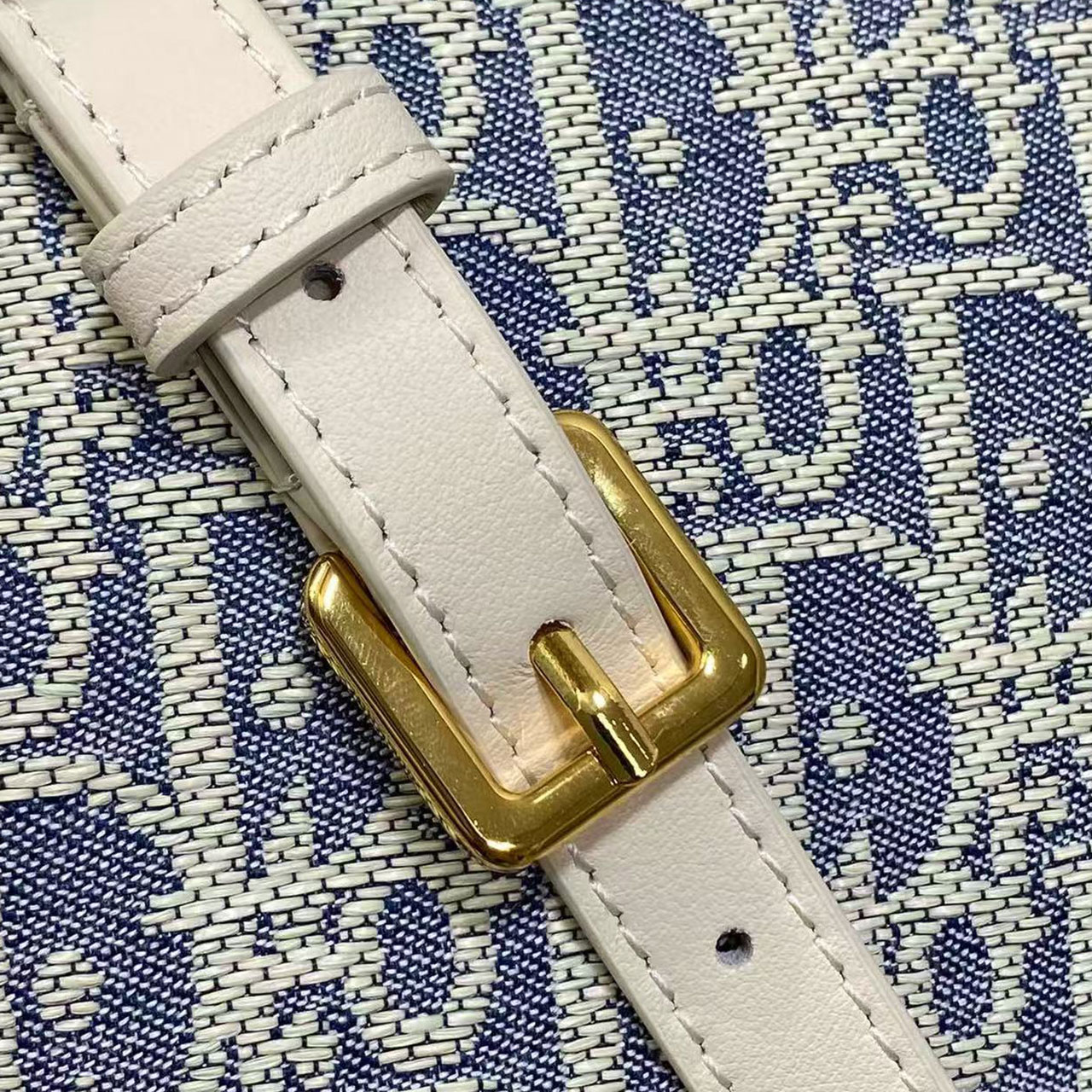 Dior Mini Hobo Bag